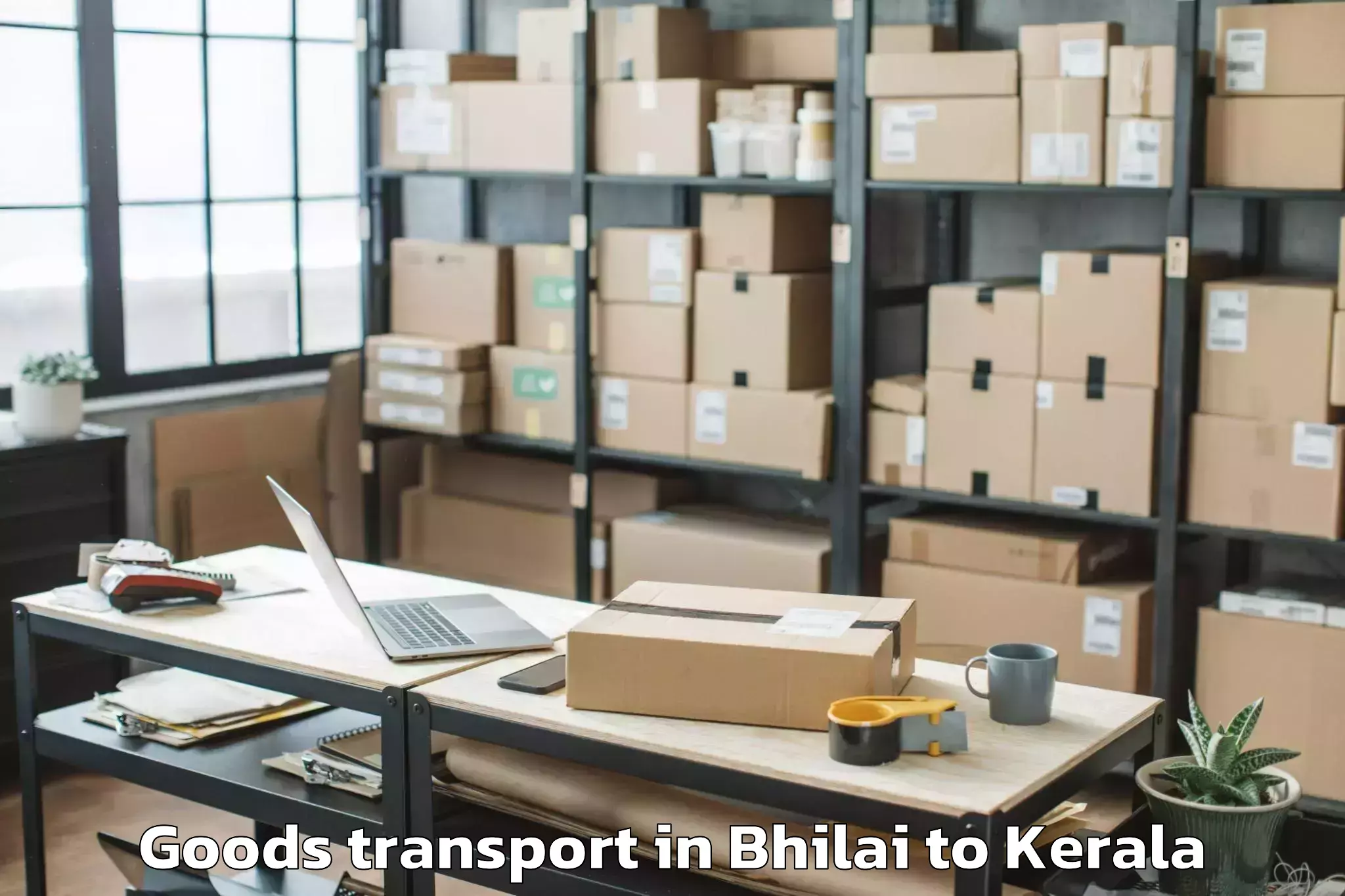 Discover Bhilai to Pathanamthitta Goods Transport